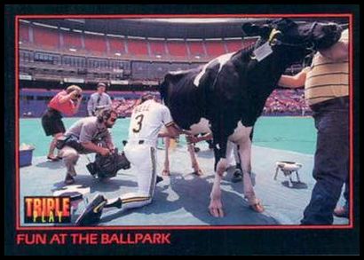 261 Jay Bell Fun at the Ballpark